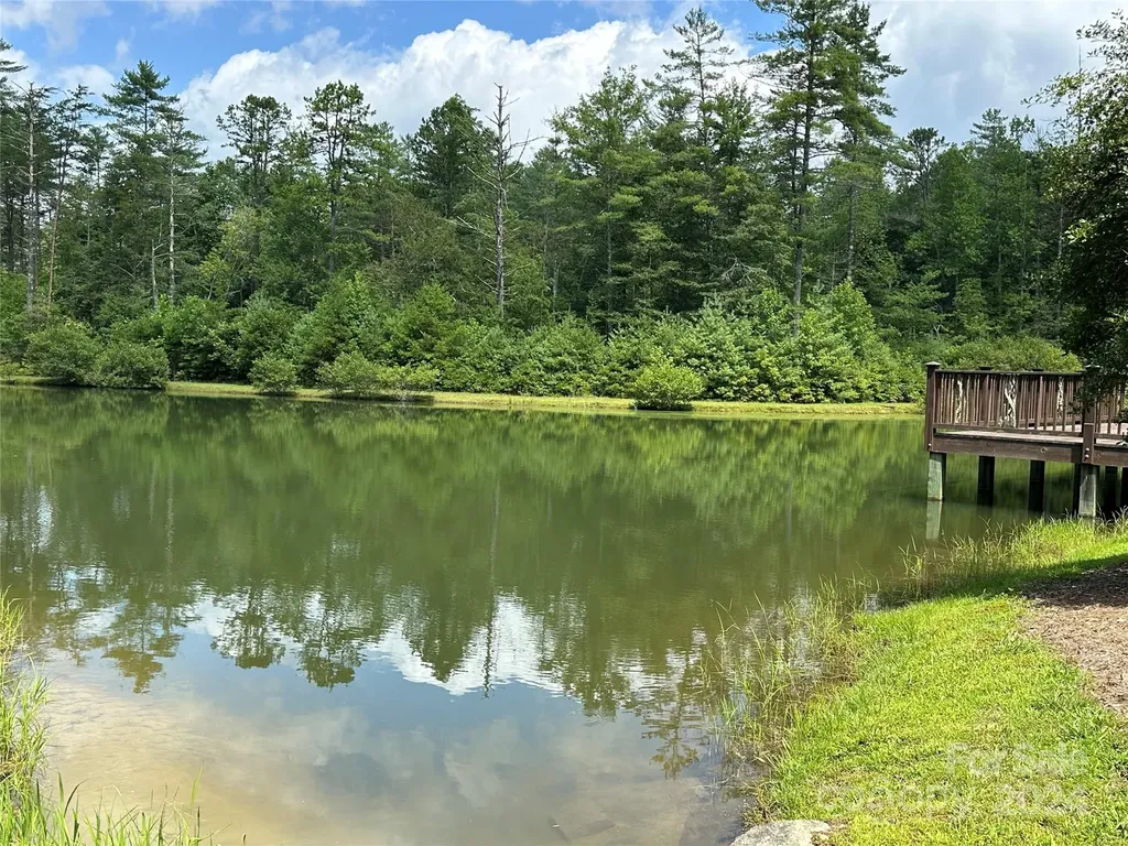79 Peppervine Circle Rosman NC 28772