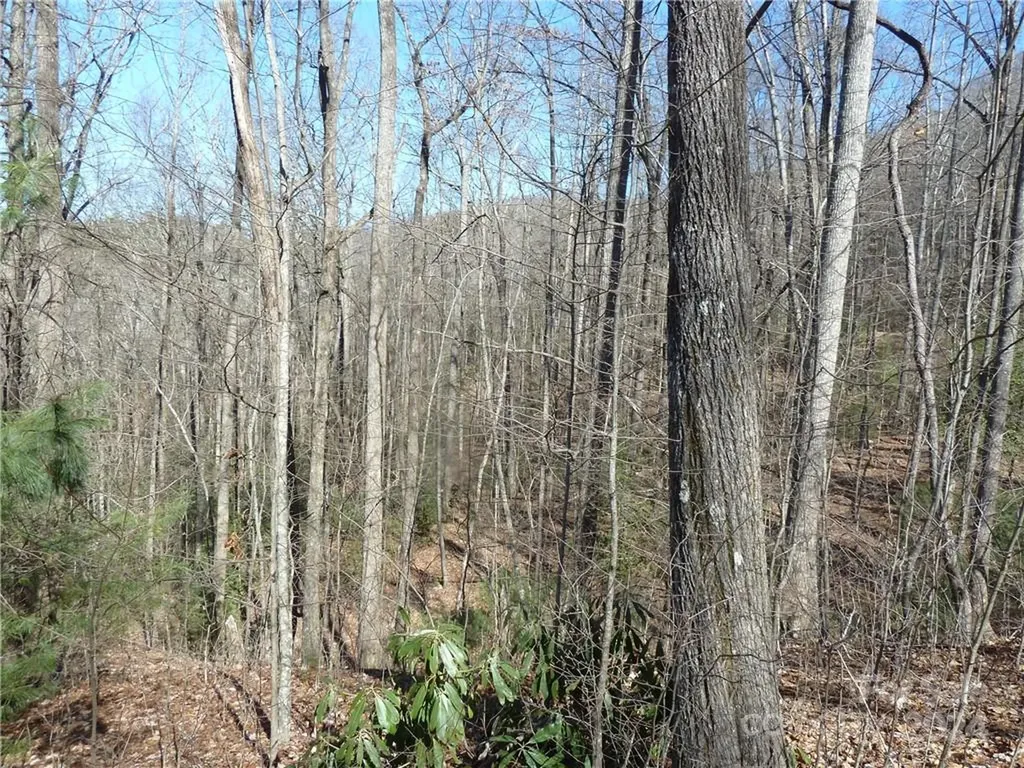 79 Peppervine Circle Rosman NC 28772
