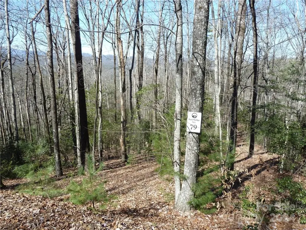 79 Peppervine Circle Rosman NC 28772