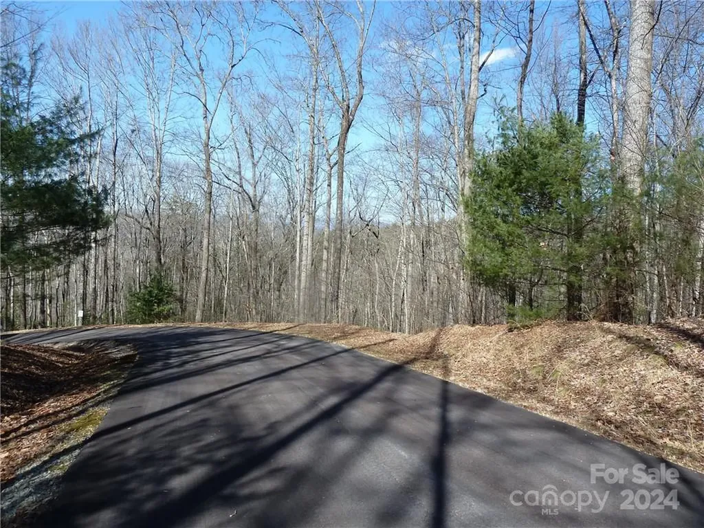 79 Peppervine Circle Rosman NC 28772