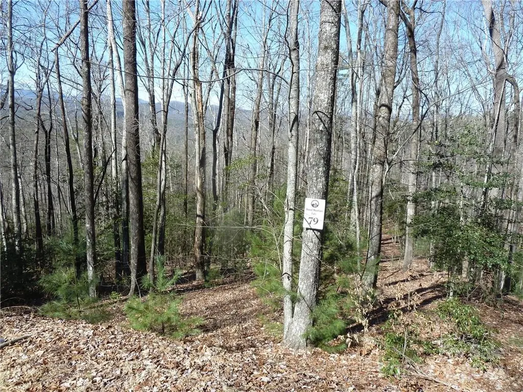 79 Peppervine Circle Rosman NC 28772
