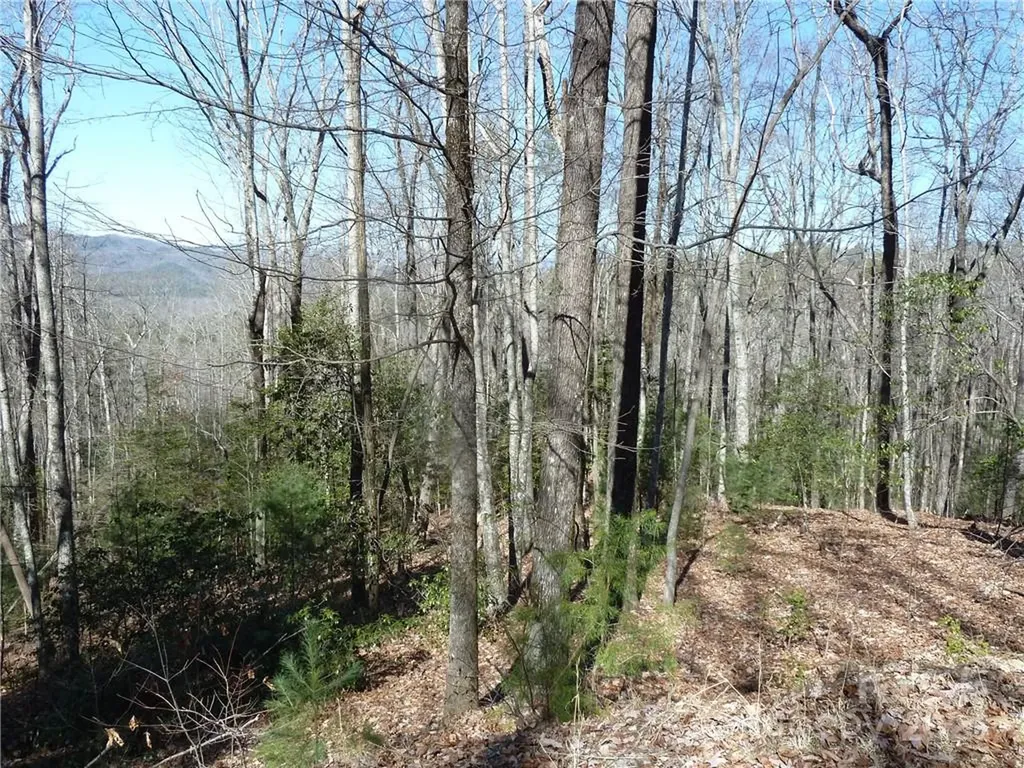 79 Peppervine Circle Rosman NC 28772
