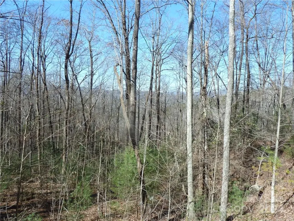 79 Peppervine Circle Rosman NC 28772