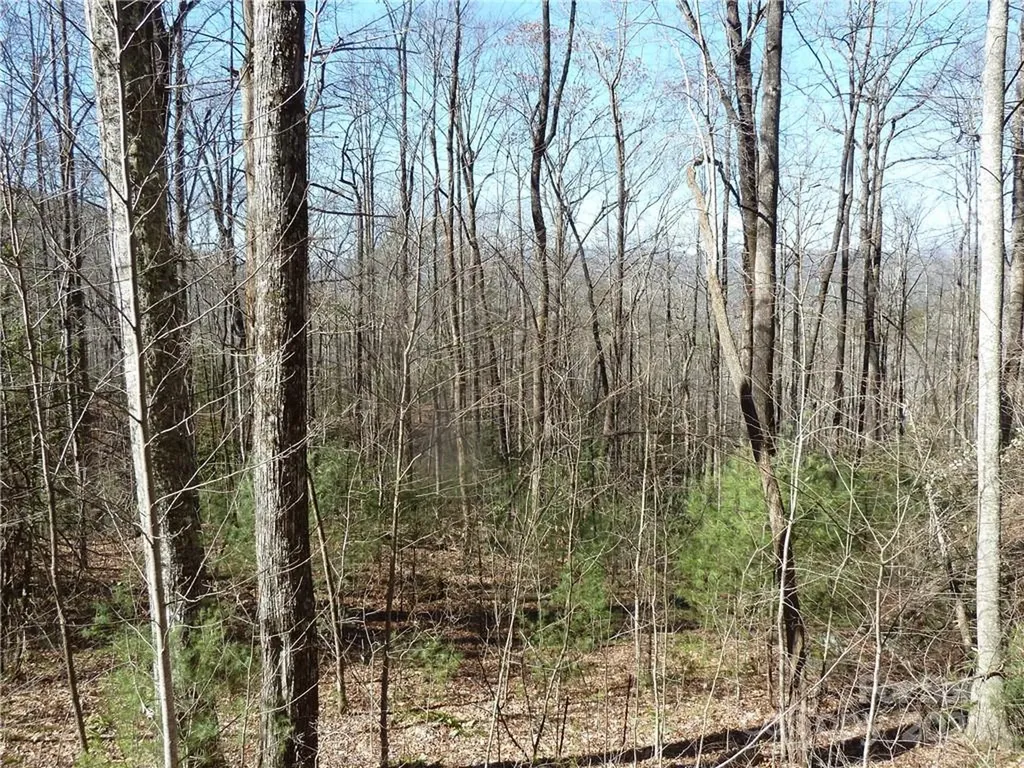 79 Peppervine Circle Rosman NC 28772