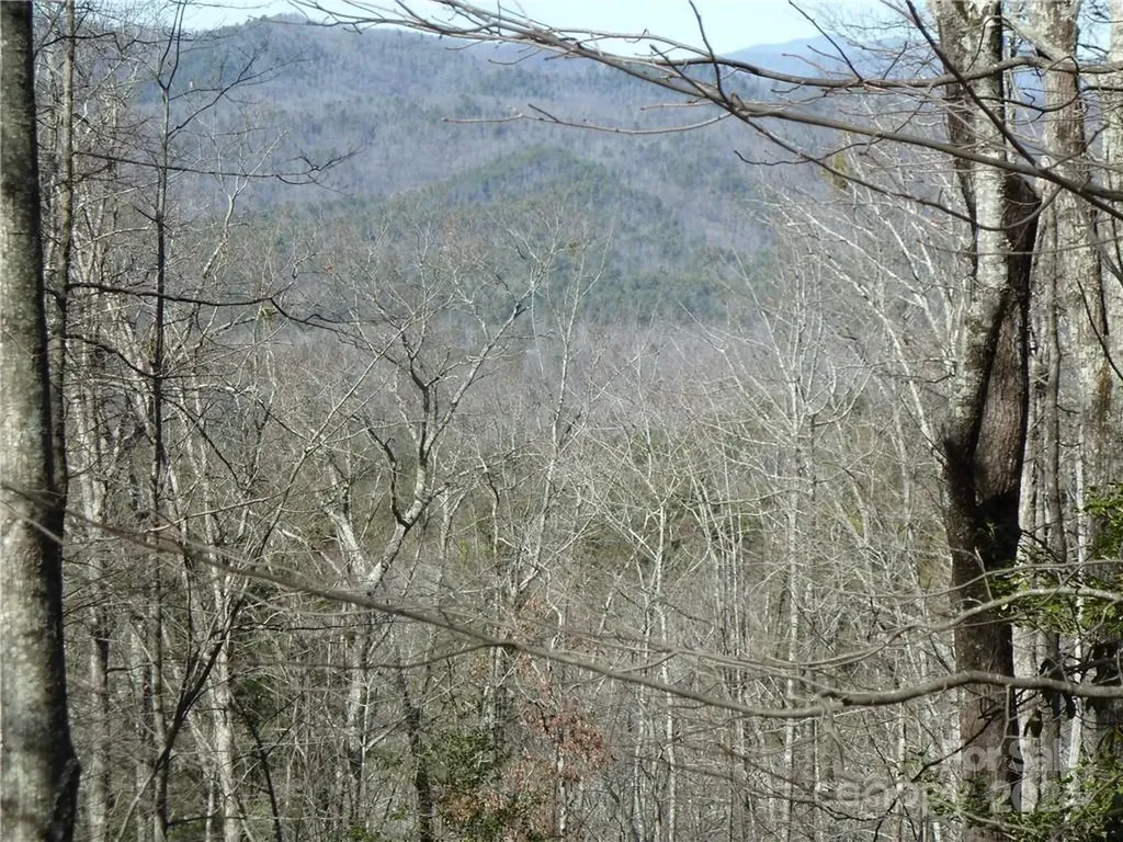 79 Peppervine Circle Rosman NC 28772
