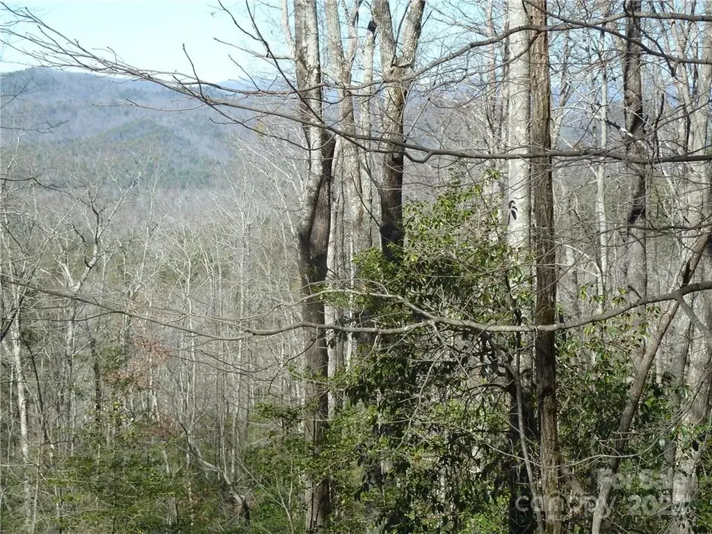 79 Peppervine Circle Rosman NC 28772