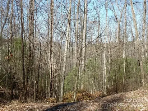 79 Peppervine Circle Rosman NC 28772