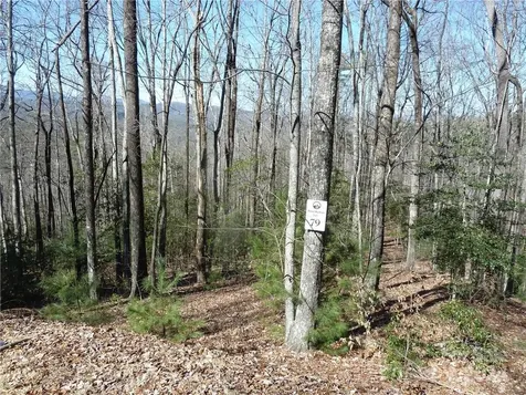 79 Peppervine Circle Rosman NC 28772