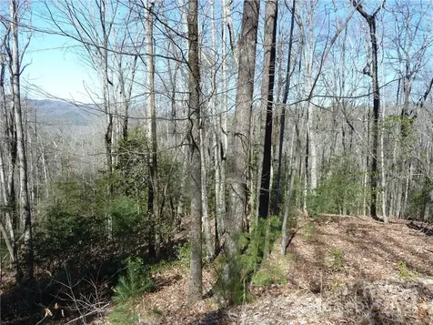 79 Peppervine Circle Rosman NC 28772