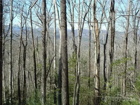 79 Peppervine Circle Rosman NC 28772