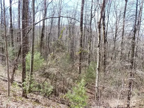79 Peppervine Circle Rosman NC 28772
