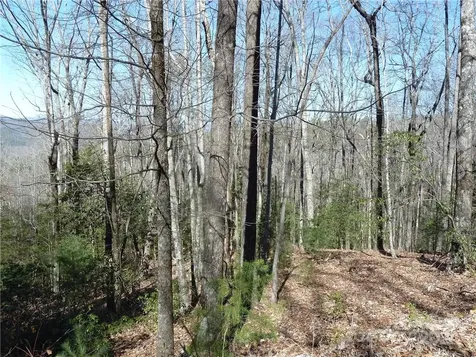 79 Peppervine Circle Rosman NC 28772