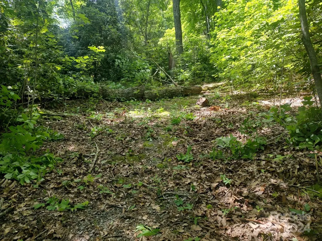 314 Burnside Trail Hendersonville NC 28792