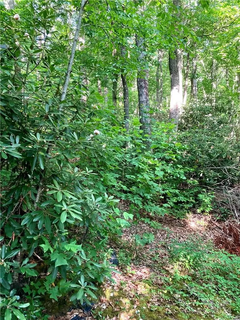 314 Burnside Trail Hendersonville NC 28792