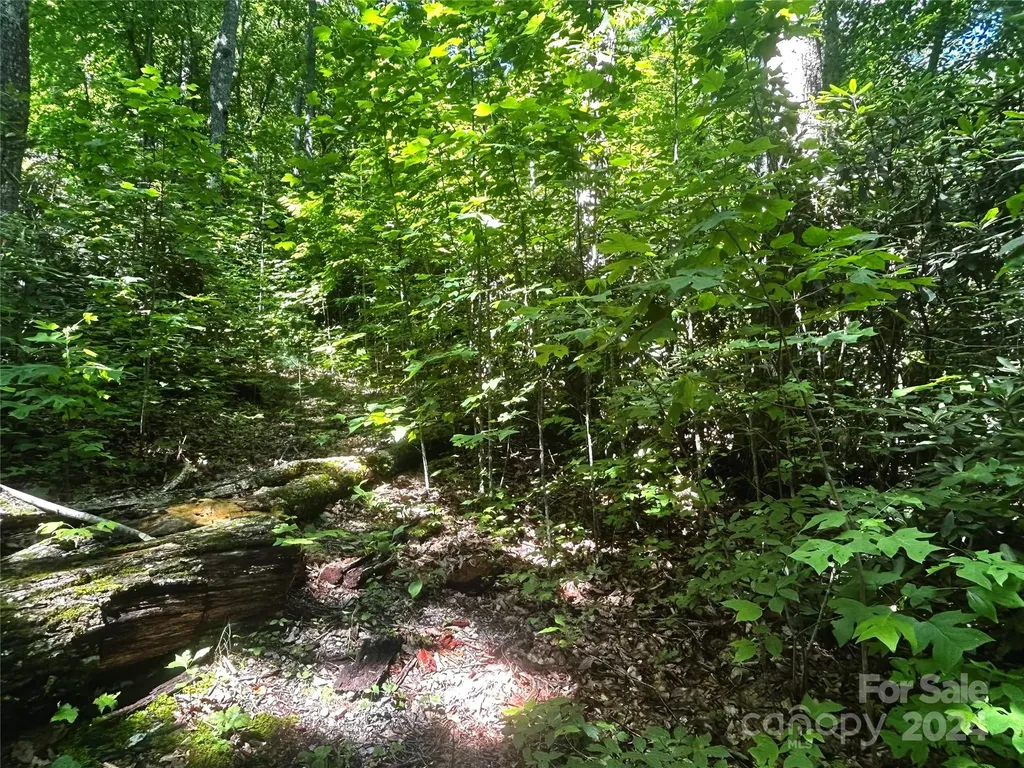 314 Burnside Trail Hendersonville NC 28792