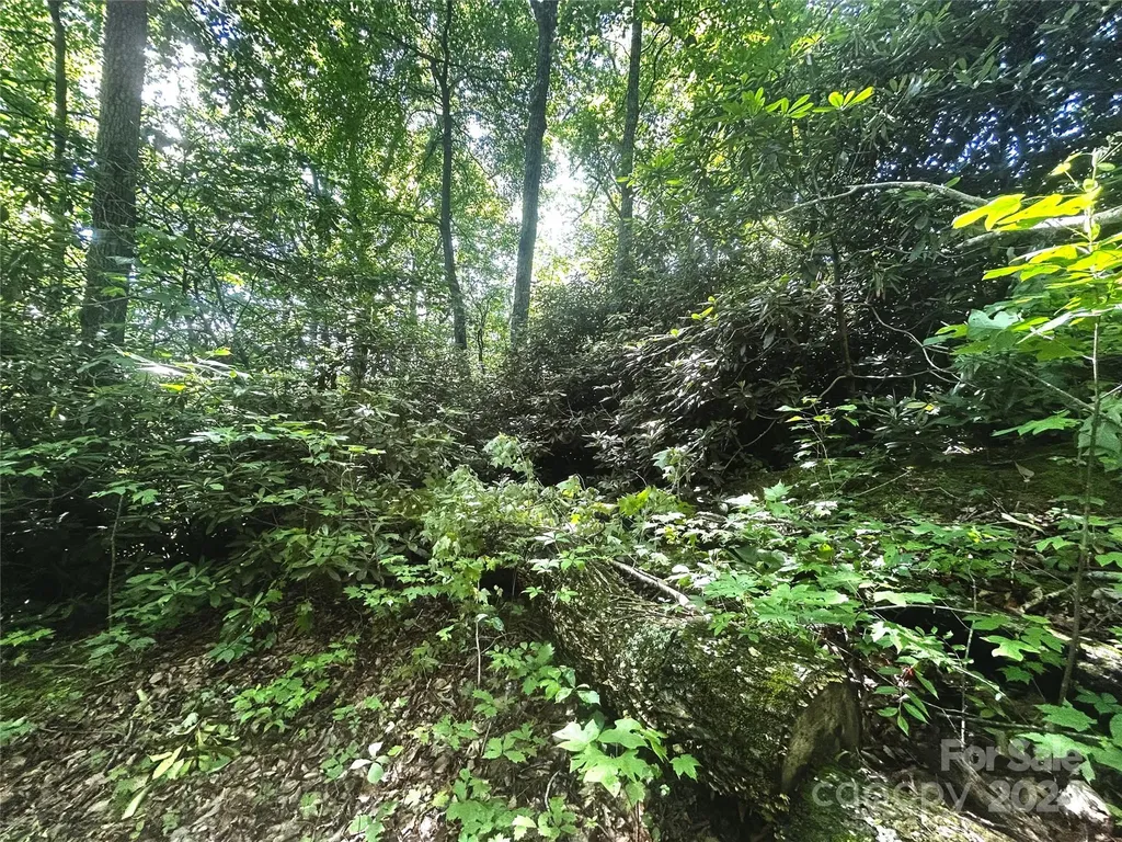 314 Burnside Trail Hendersonville NC 28792