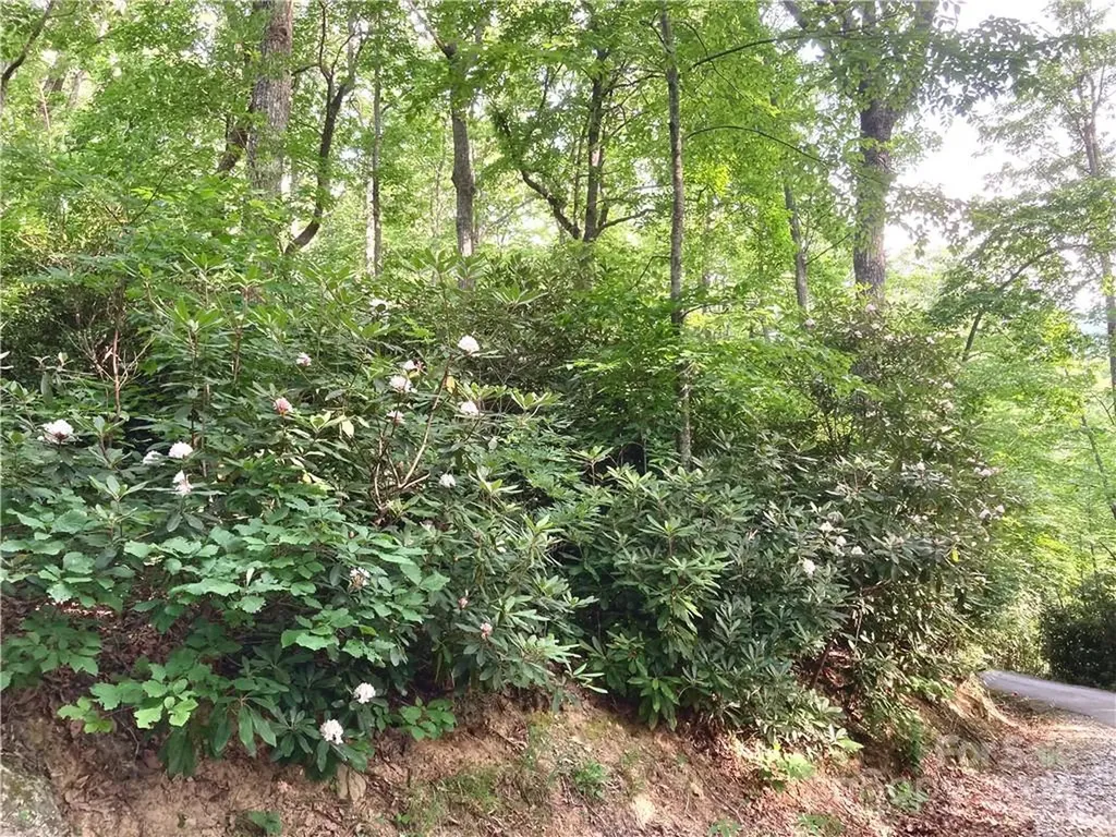 314 Burnside Trail Hendersonville NC 28792
