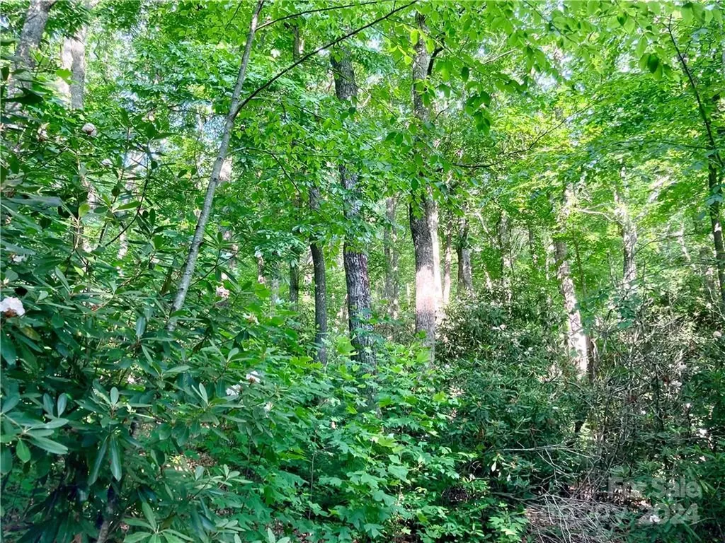 314 Burnside Trail Hendersonville NC 28792