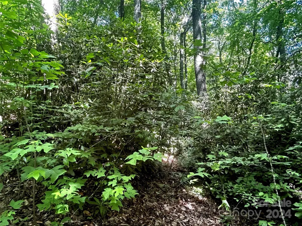 314 Burnside Trail Hendersonville NC 28792