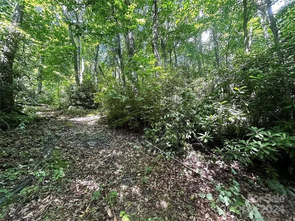 314 Burnside Trail Hendersonville NC 28792