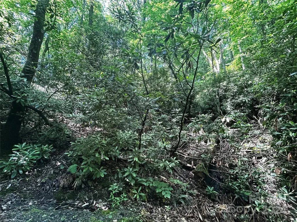 314 Burnside Trail Hendersonville NC 28792