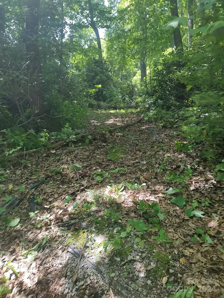 314 Burnside Trail Hendersonville NC 28792