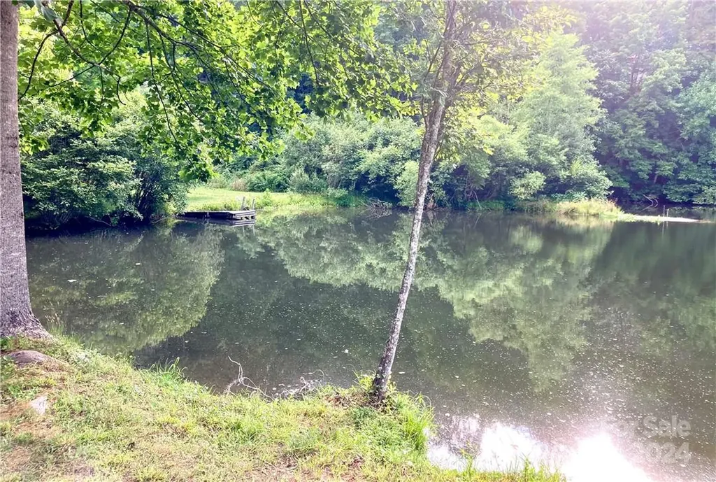 314 Burnside Trail Hendersonville NC 28792