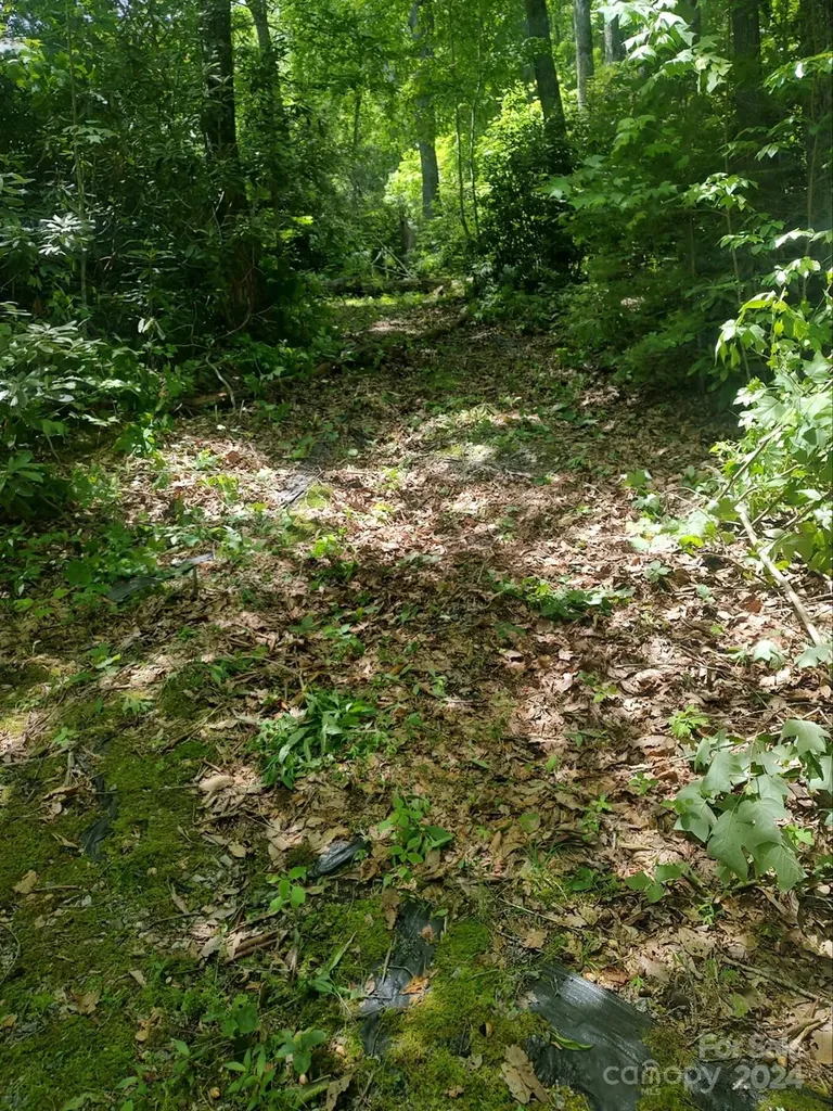 314 Burnside Trail Hendersonville NC 28792