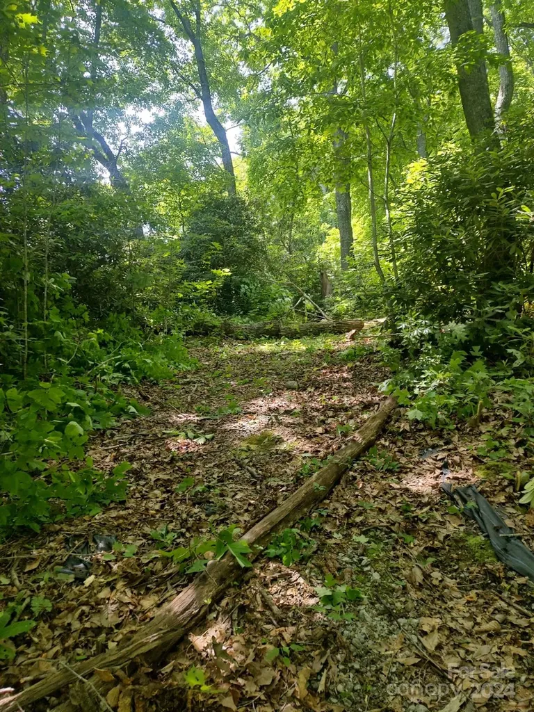 314 Burnside Trail Hendersonville NC 28792