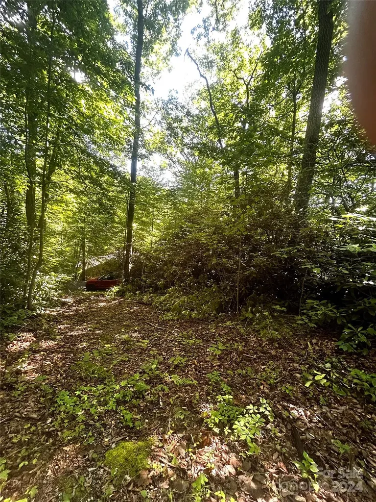 314 Burnside Trail Hendersonville NC 28792