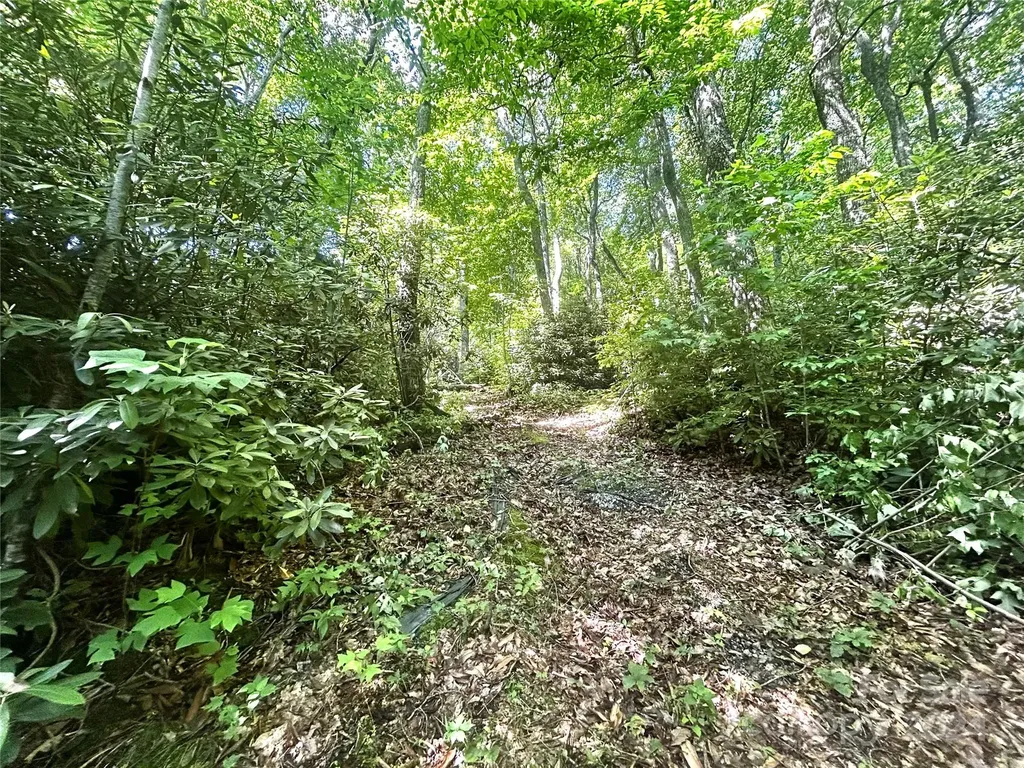 314 Burnside Trail Hendersonville NC 28792