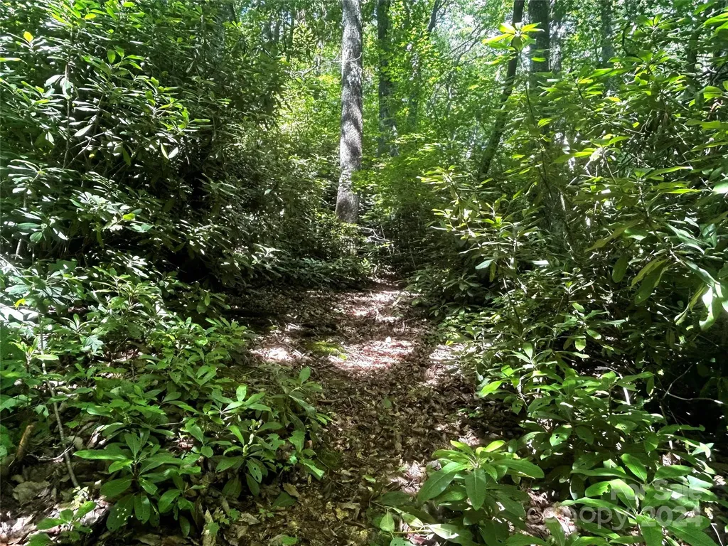 314 Burnside Trail Hendersonville NC 28792