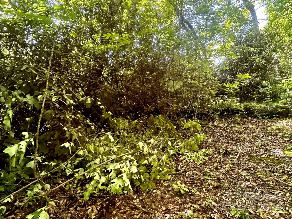 314 Burnside Trail Hendersonville NC 28792