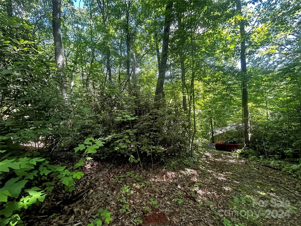 314 Burnside Trail Hendersonville NC 28792