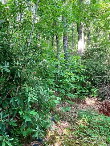 314 Burnside Trail Hendersonville NC 28792
