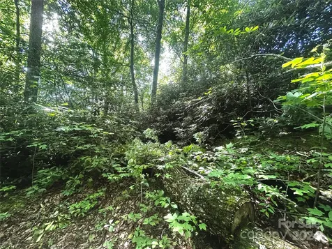 314 Burnside Trail Hendersonville NC 28792