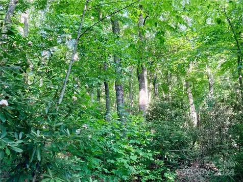 314 Burnside Trail Hendersonville NC 28792