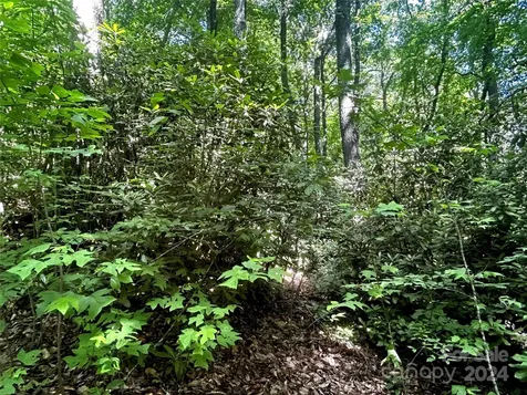 314 Burnside Trail Hendersonville NC 28792