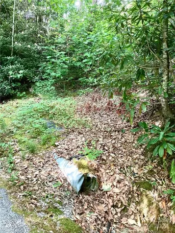 314 Burnside Trail Hendersonville NC 28792