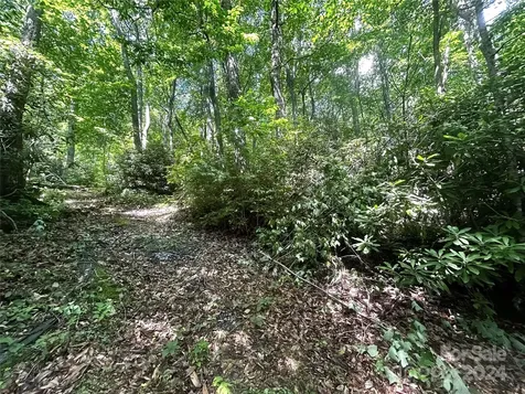 314 Burnside Trail Hendersonville NC 28792