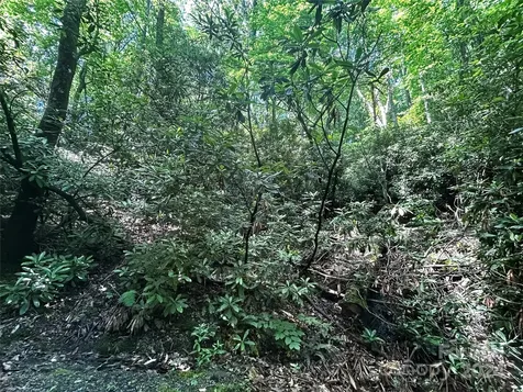 314 Burnside Trail Hendersonville NC 28792