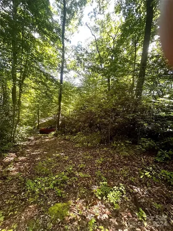 314 Burnside Trail Hendersonville NC 28792