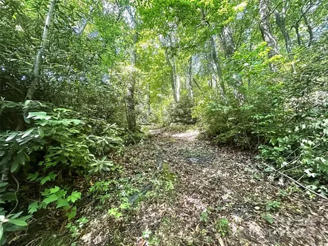 314 Burnside Trail Hendersonville NC 28792