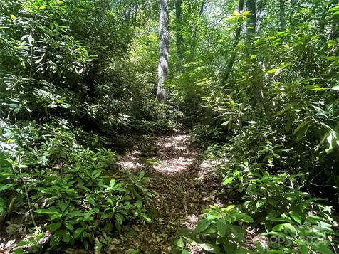 314 Burnside Trail Hendersonville NC 28792