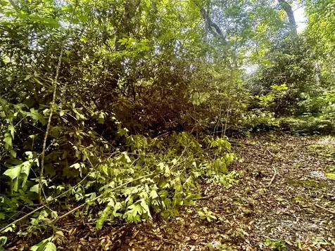 314 Burnside Trail Hendersonville NC 28792