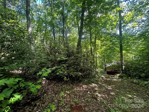 314 Burnside Trail Hendersonville NC 28792