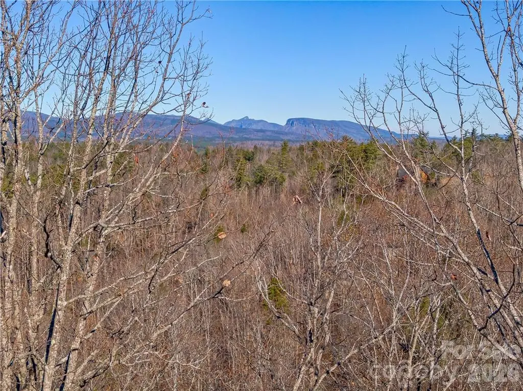 138 & 139 High Trail Drive Nebo NC 28761