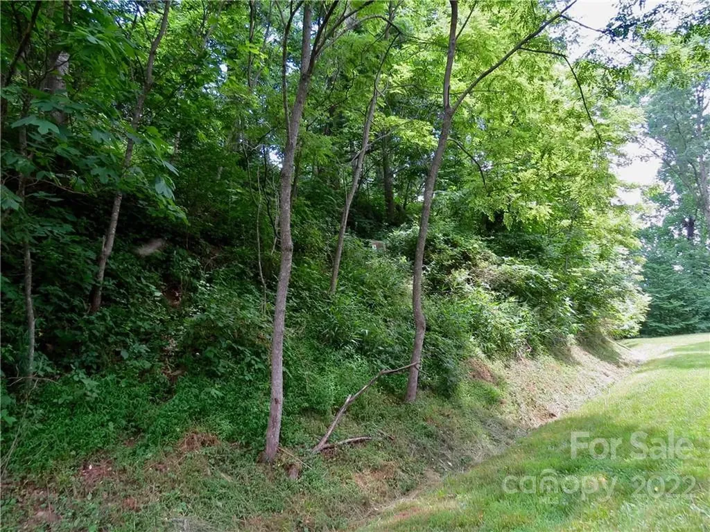 492 Freemont Drive Leicester NC 28748