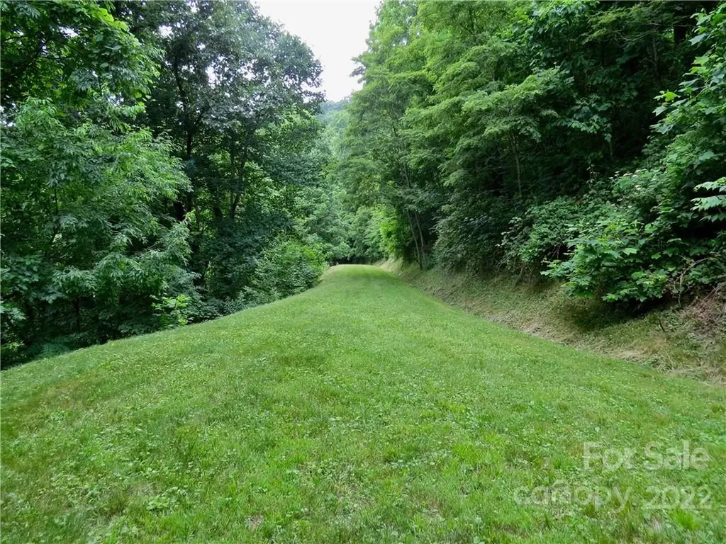 492 Freemont Drive Leicester NC 28748