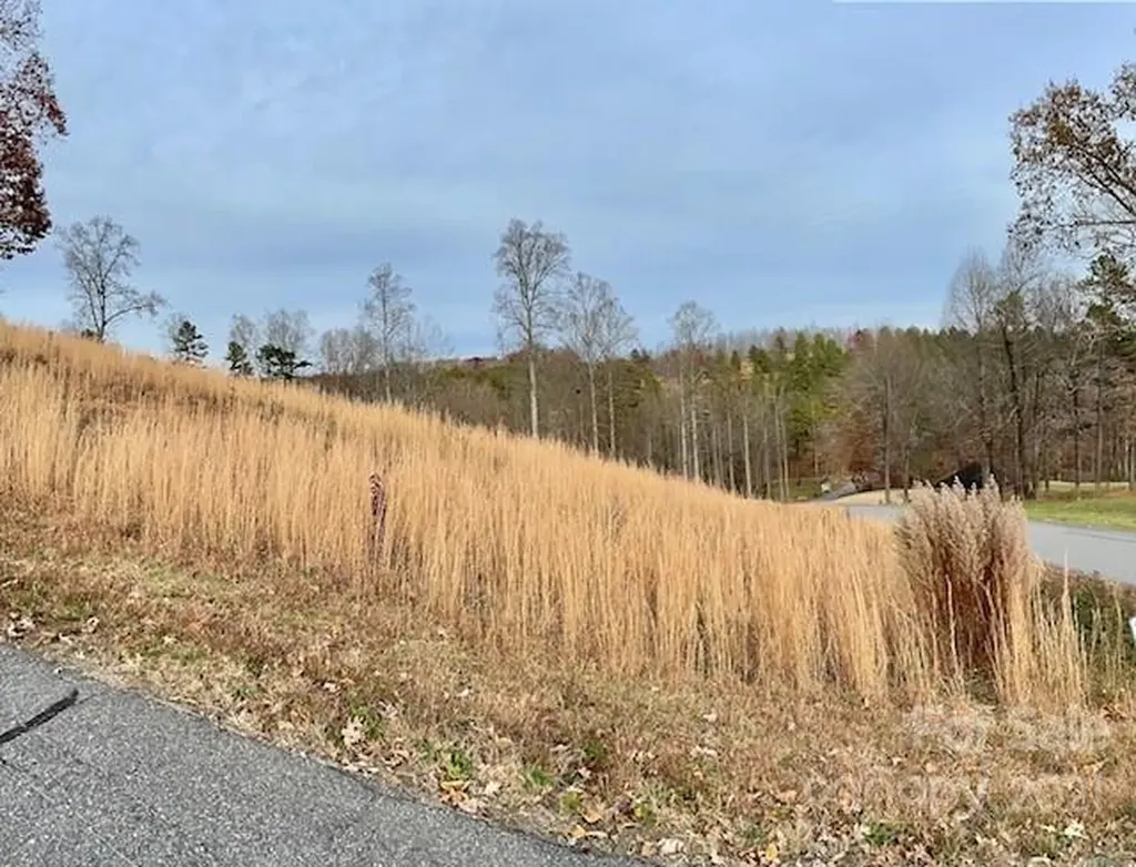 3612 Cornwell Court Morganton NC 28655